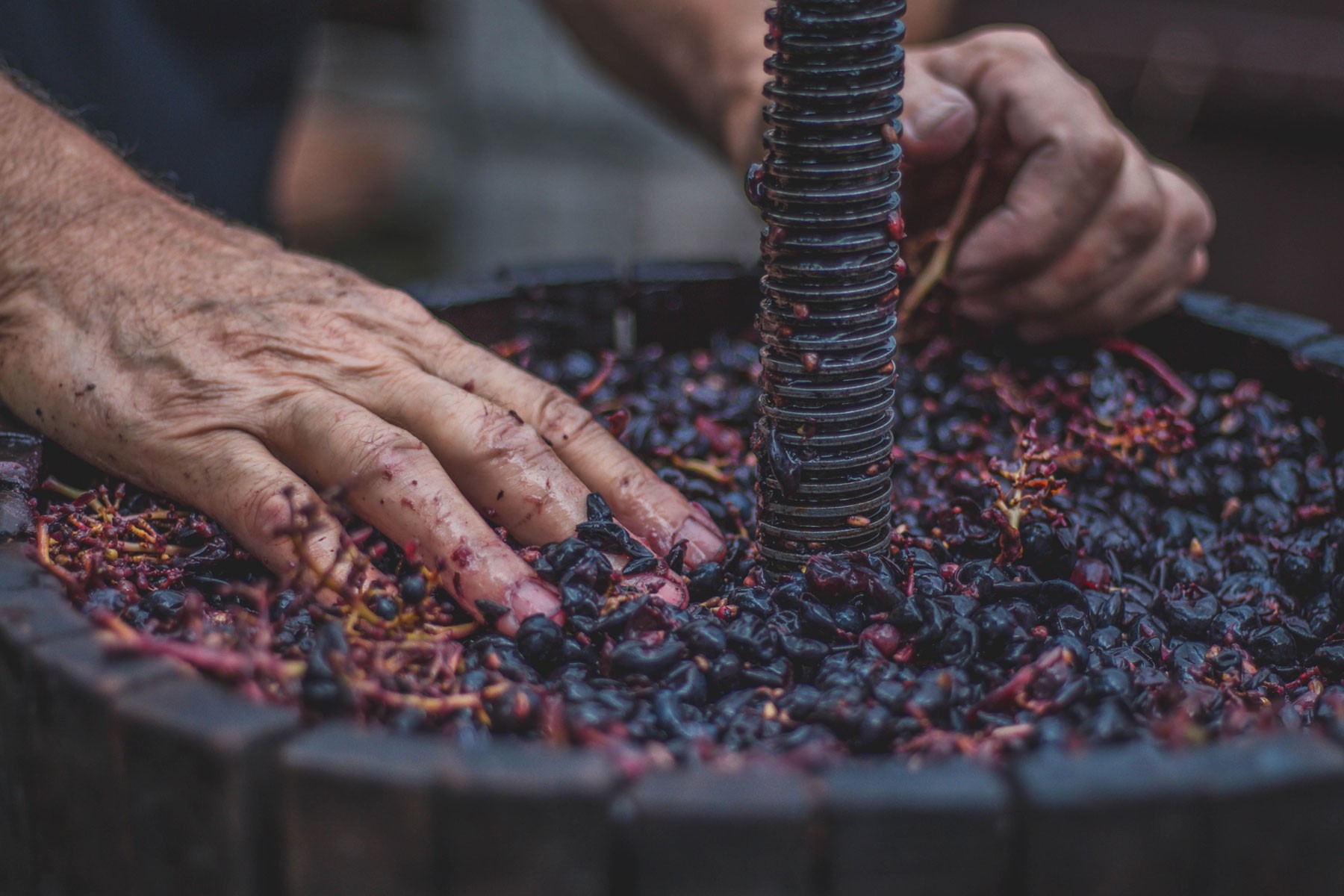 Kings River Winery Wedding Venue